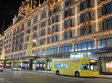 Entdecken Sie London bei einer nächtlichen Bustour