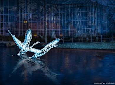 Bootsfahrt zum Amsterdam Light Festival mit Live-Kommentaren