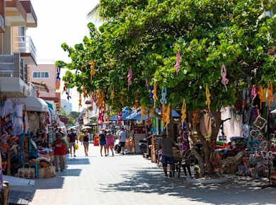 Privilege sailing cruise to Islas Mujeres with lunch