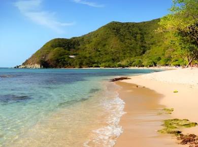 Ganztägige geführte Tour durch Bahía Concha und den Tayrona-Park mit Mittagessen
