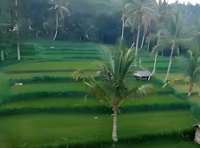 Tetebatu full-day eco tour