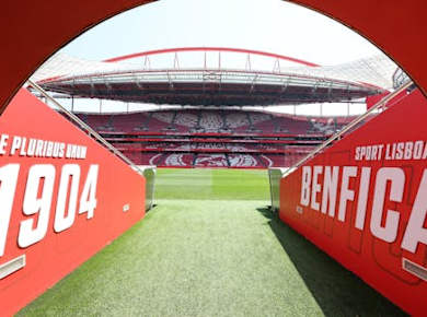 SL Benfica Stadium and Cosme Damião Museum tour with light meal