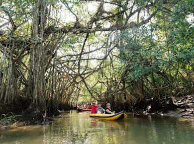 The Lost Zone Amazon & Old Town from Khao Lak