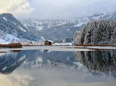 Berner Oberland Winteredition Privatführung ab Zürich
