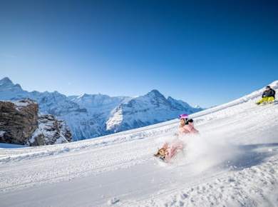 Winterschlittenabenteuer Privattour ab Zürich