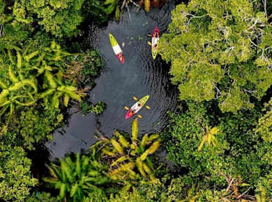 Klong Root kayak, batik class, rubber tapping and pineapple farm tour