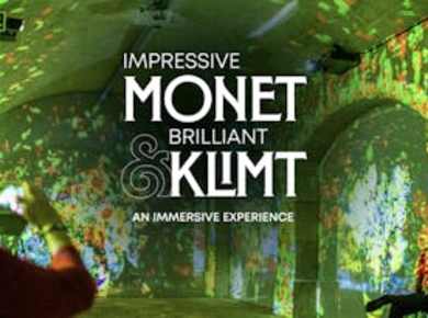 Eintrittskarte für das Erlebnis Monet & Klimt in Porto