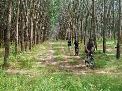 Halbtägige Radtour auf dem Land von Phuket aus