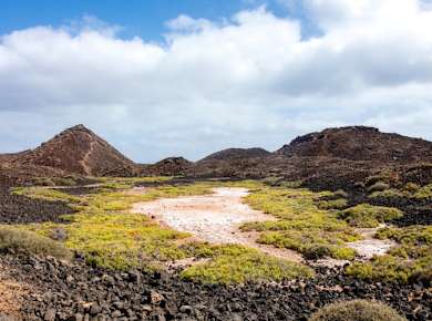 Lobos Celia Cruz Ferry Return Tickets