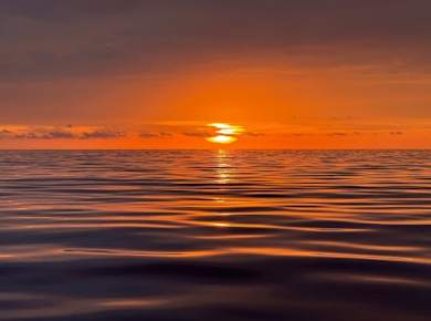 Gran Canaria Delphinbeobachtung bei Sonnenuntergang