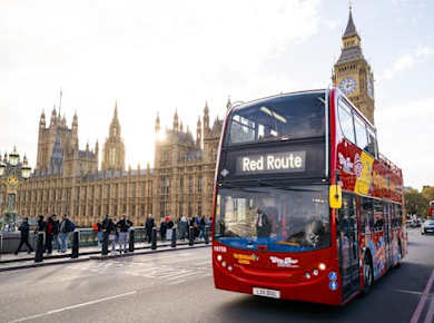 London Sightseeing mit 2-tägiger Themse-Bootstour und 1-tägiger Bustour