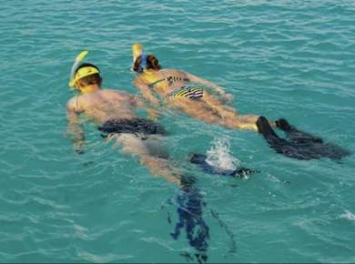 Schnorcheltour am Playa de Los Cancajos mit professionellen Führern
