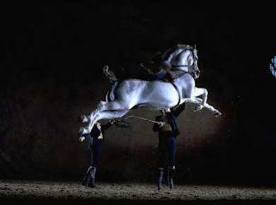 Tagesausflug nach Jerez und Cádiz mit Pferdeshow ab Sevilla