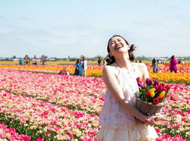 Tulpenerlebnis Selbstgeführte Halbtagestour in Amsterdam