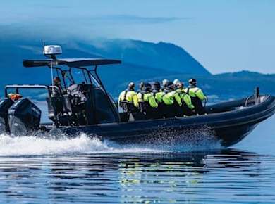 Mostraumen Fjord-Safari-Tour in einem erstklassigen RIB-Boot