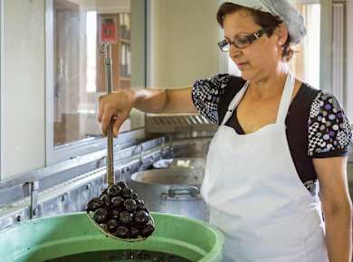 Mountain villages with lunch and honey-tasting from Ayia Napa and Protaras