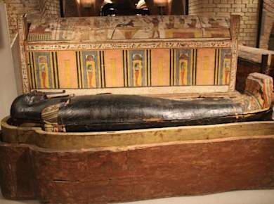 Audioführung Neues Museum