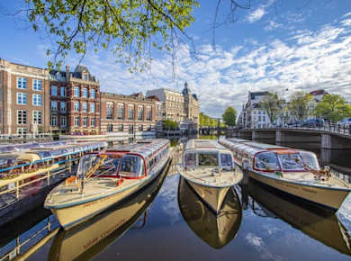 Amsterdams Kunst- und Kulturtour mit einem Einheimischen
