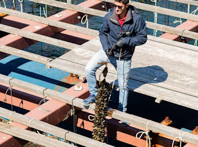 Katamaran-Tour entlang der Küste Valencias mit Muscheln und Weißwein