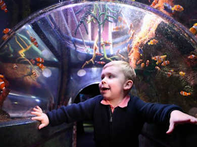 SEA LIFE Manchester Eintrittskarten