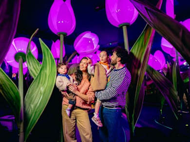 Höhepunkte in Holland