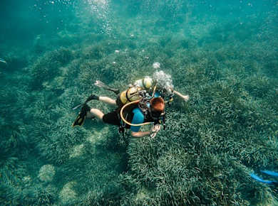 Eco Island Adventure Scuba Diving Courses in Majorca