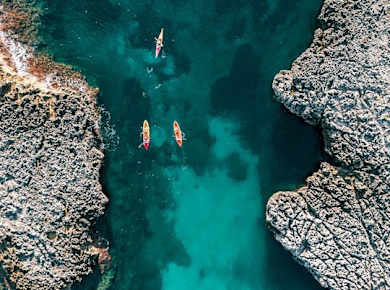 Geführte Stand-up-Paddel- oder Kajaktour mit Schnorcheln und Transfer