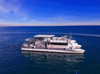 Malvarrosa und Patacona Strand Katamaran Tour mit Getränk