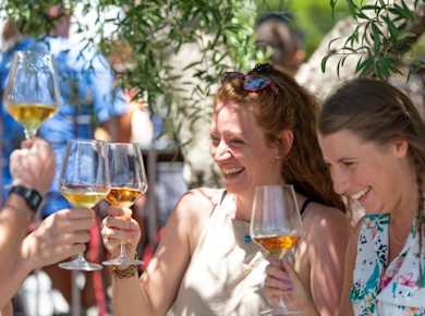 Mount Vesuvius crater tour with authentic lunch at a vineyard