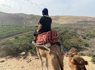 Half-day camel ride and quad bike adventure