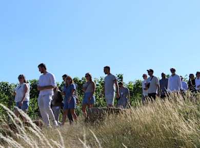 Privater Stuttgarter Weinspaziergang mit Spielen und regionalen Verkostungen