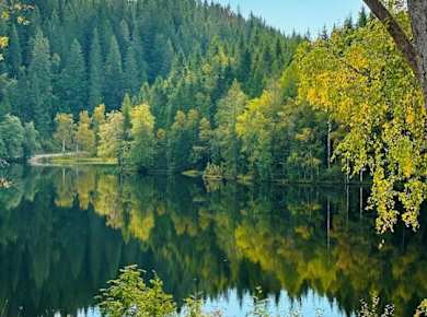 Frognerseteren und Tryvannsstua private Tour ab Oslo