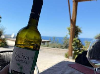 Wine tasting and brunch in a traditional farmhouse
