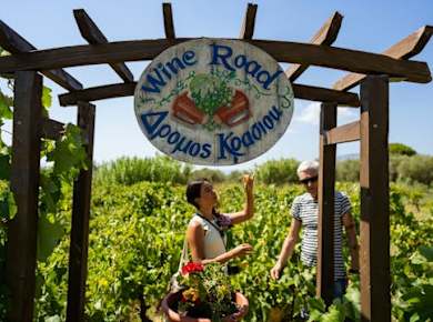 Zakynthos Tour mit Bootsfahrt zu den Blauen Höhlen und Weinverkostung