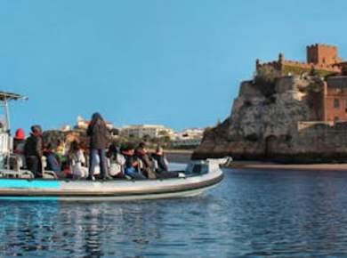 Bootstour zu den Meereshöhlen von Benagil bei Sonnenaufgang ab Portimão