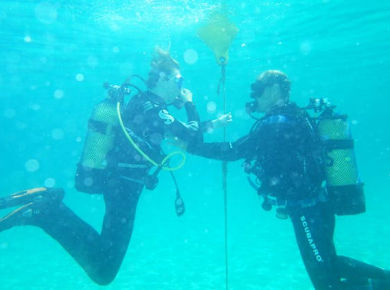 Discover scuba diving by boat with Skualo Portocolom