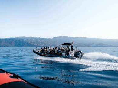 Ticket für eine Delfin- und Walbeobachtungstour mit dem Schnellboot