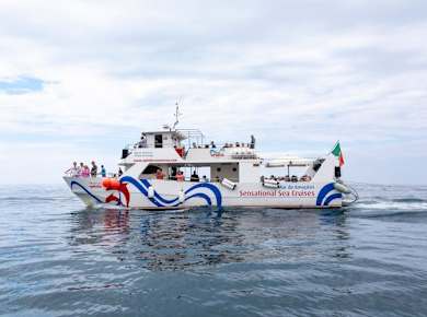 Benagil cruise with lunch, open bar and water activities