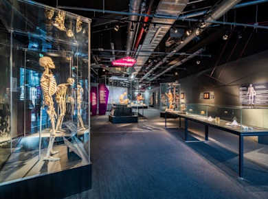 BODY WORLDS Berlin Eintrittskarten