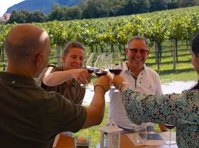 Von Venedig aus, Weintour in den Euganeischen Hügeln