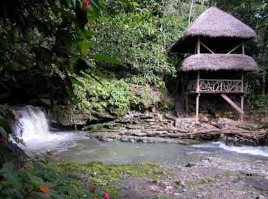 Half day jungle expedition with naturalistic activites