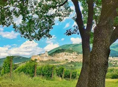 Geführte Weinprobe in Assisi mit Aperitif
