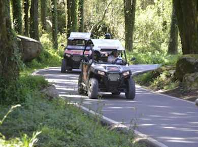 Buggy-Sightseen-Fahrt in Sintra und an der Küste von Cascais