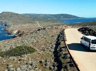 Minivan day tour to Asinara National Park from Stintino