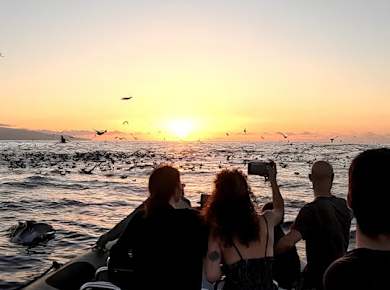 Goldene Bootstour am Kap Cintrao