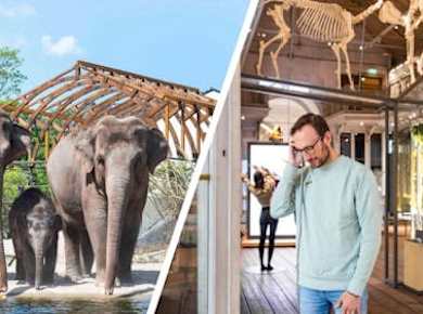ARTIS Amsterdam Royal Zoo und ARTIS-Groote Museum Eintrittskarte