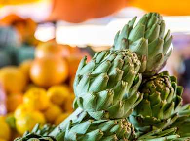 Discover Agadir City Tour