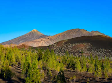 Teide National Park Tour with Local Guide