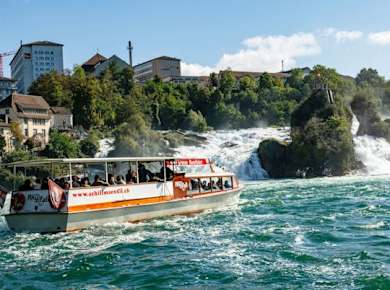 Circular river cruise from the Rhine Falls to Rheinau