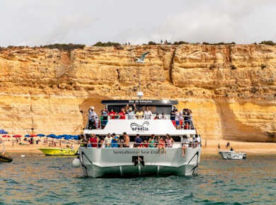 Ophelia Catamaran for Families Ticket